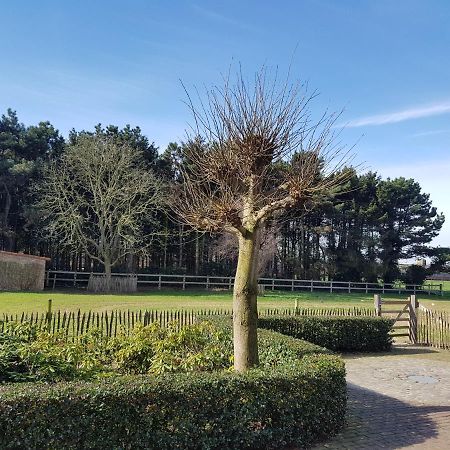 B&B Bergenhof Hoogstraten Exterior foto