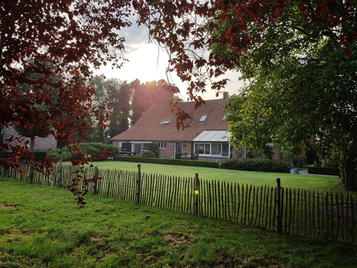 B&B Bergenhof Hoogstraten Exterior foto
